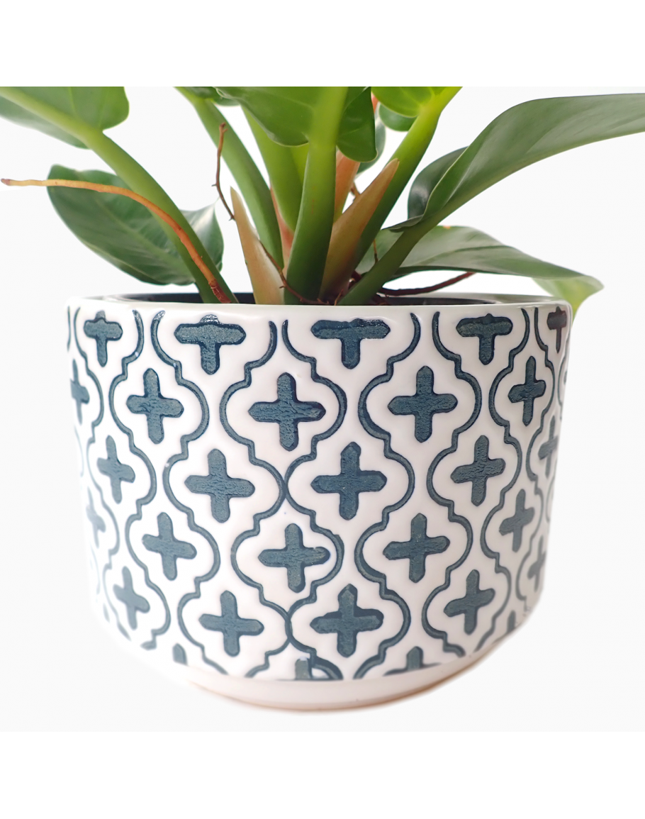 Adelaide Shallow Ceramic Pot